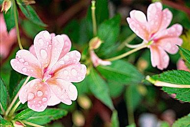 《垃圾回收中心模拟器》Steam页面上线 支持中文